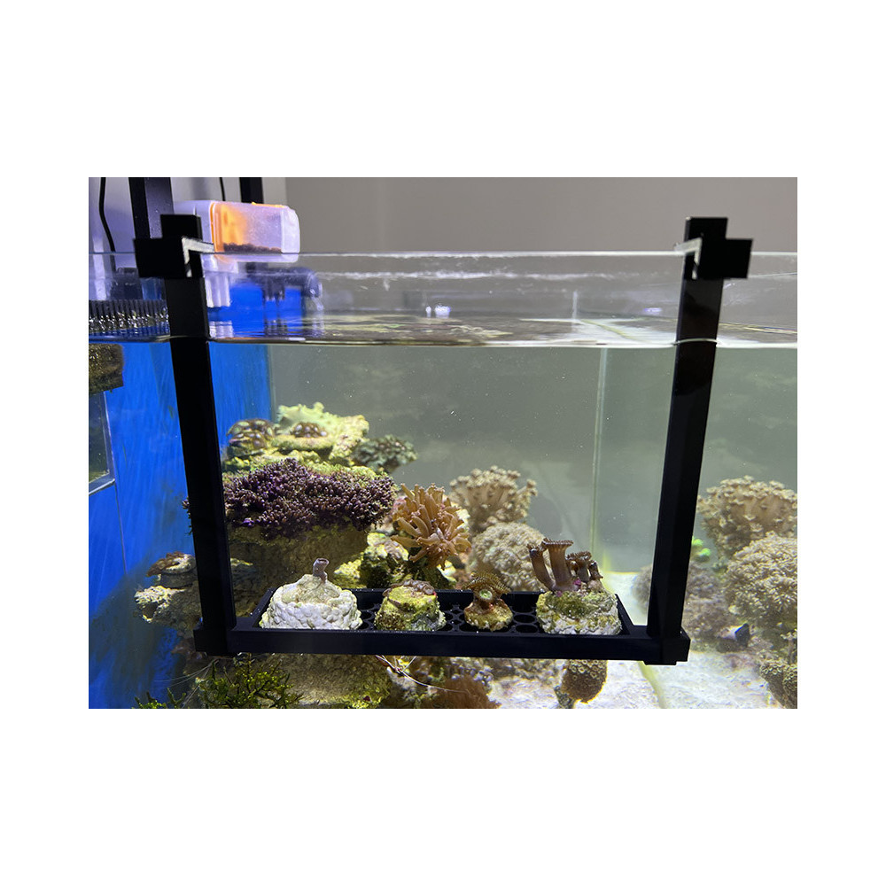 Hanging Coral Shelf for Aquariums
