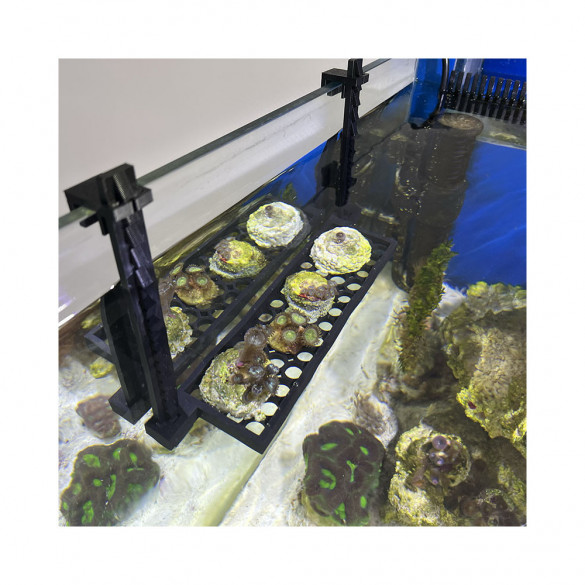 Hanging Coral Shelf for Aquariums