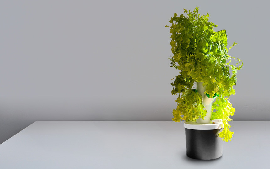 Green Plants Hydroponic Towers
